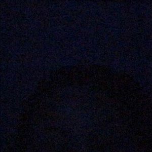 Meet your Posher, Keeley